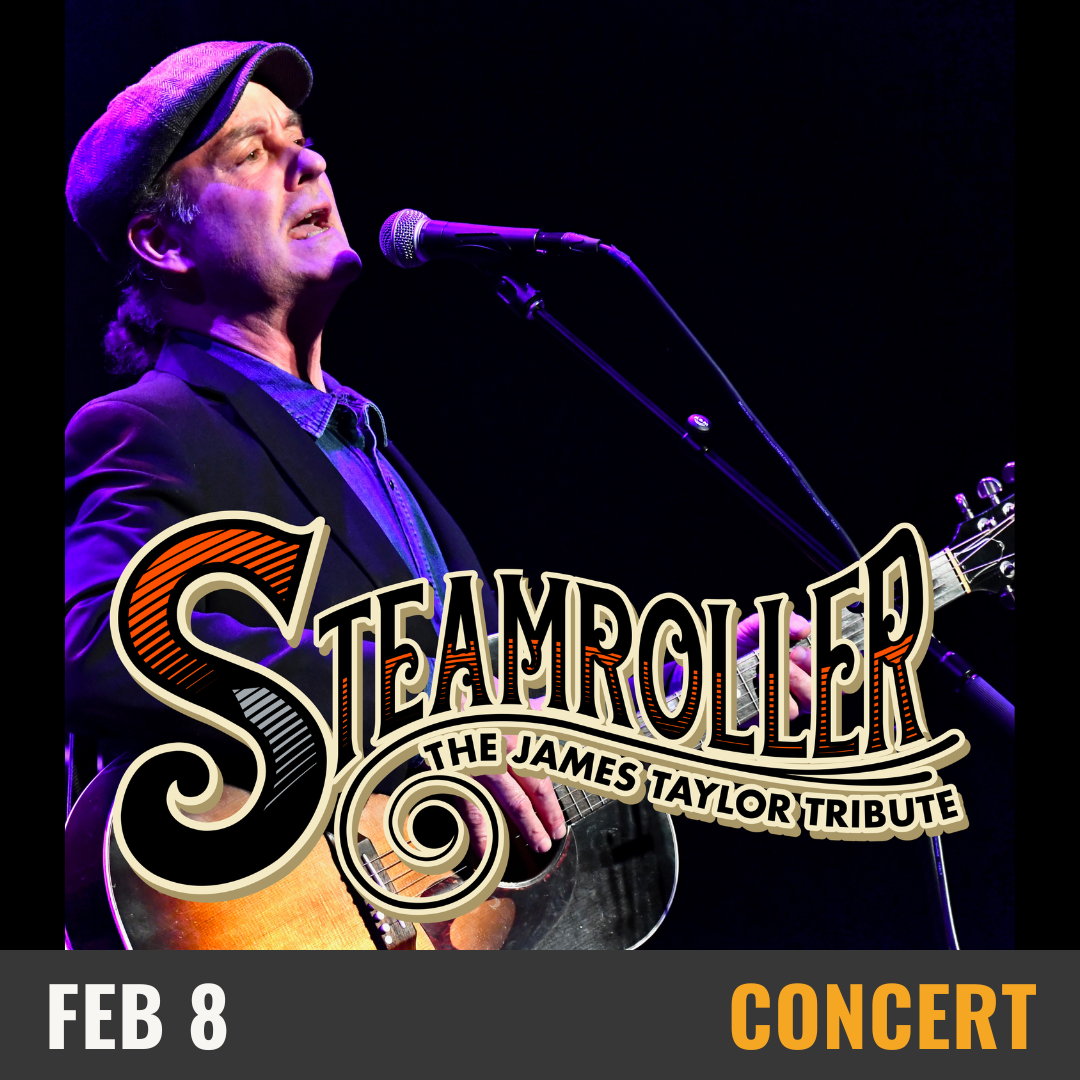 Steamroller. the James Taylor Tribute. Concert. February 8. Man with a guitar singing.